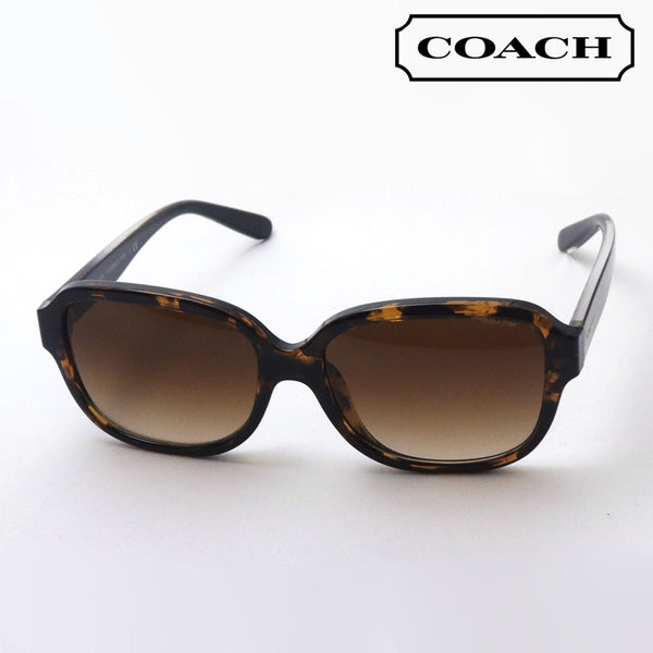 Gafas de sol del entrenador Gafas de sol del entrenador HC8298U 512074