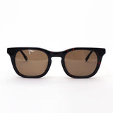 Own sunglasses OWN OW-01DT-BR #01 Wellington