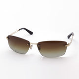 Police polarized sunglasses Police SPLG39J 300P