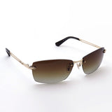 Police polarized sunglasses Police SPLG39J 300P