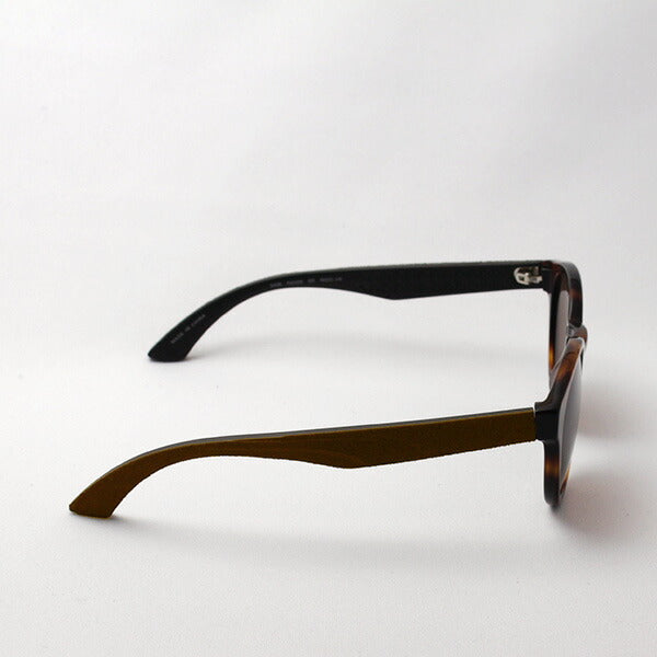 Gafas de sol Puma Puma PU0103S 002