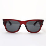 Ray-Ban Sunglasses Ray-Ban RB0840SF 6679B1