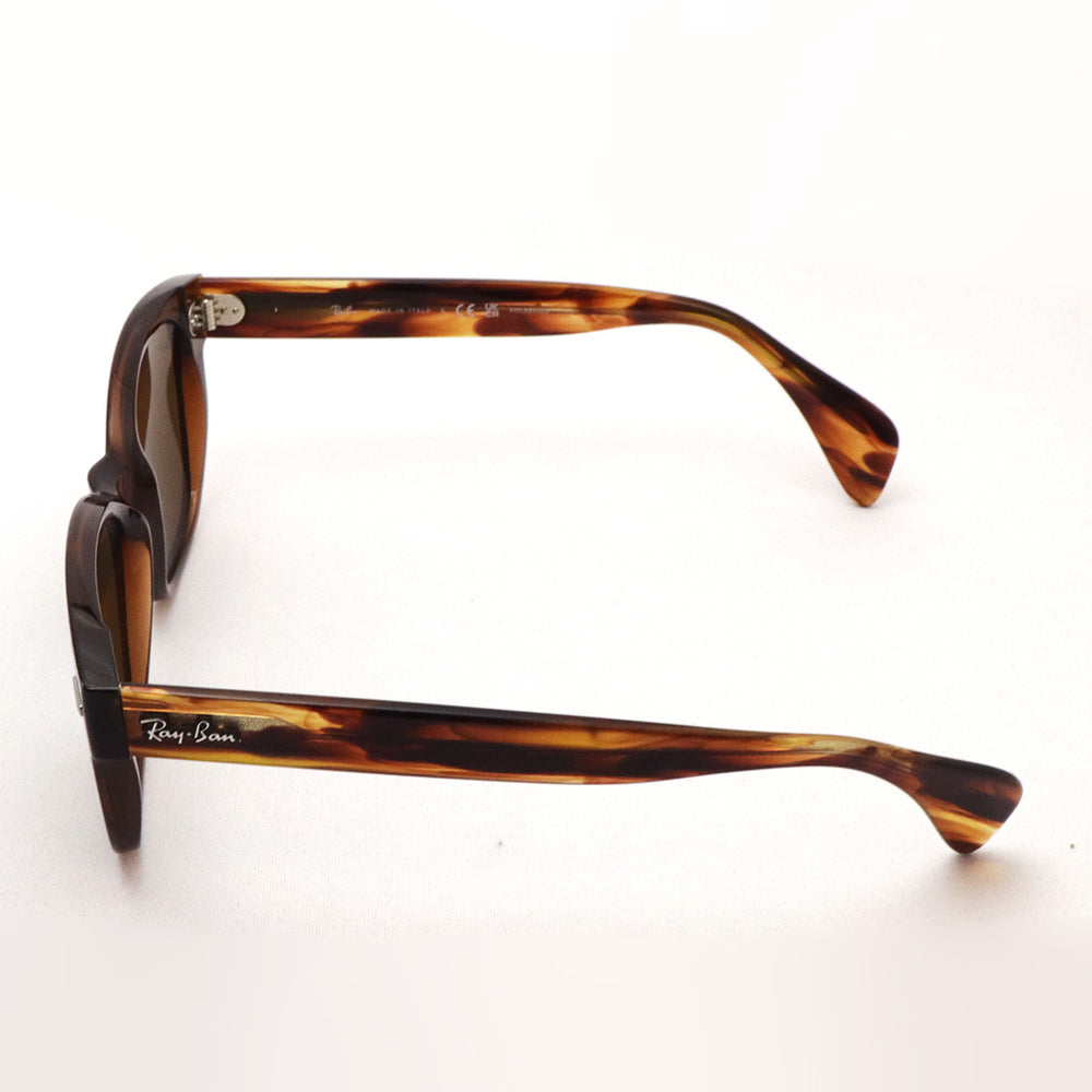 レイバンRay-Banサングラス レイバン 偏光サングラス Ray-Ban RB0880SF 664057 – GLASSMANIA