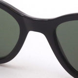 Ray-Ban Sunglasses Ray-Ban RB0880SF 90131