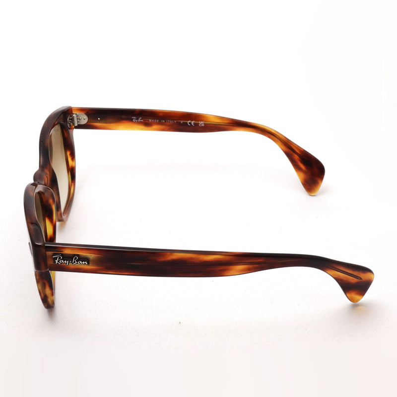 レイバン サングラス Ray-Ban RB0880SF 95451 – GLASSMANIA -TOKYO AOYAMA-