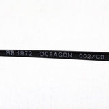 射线棕色太阳镜雷 - 河RB1972 002GB