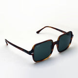 Ray-Ban Sunglasses Ray-Ban RB1973 95431