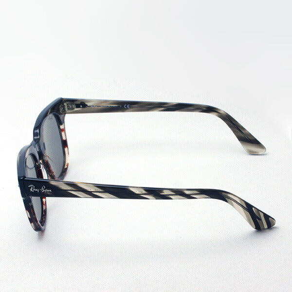 Gafas de sol Ray-Ban Ray-Ban RB2168 1254Y5 Meteor