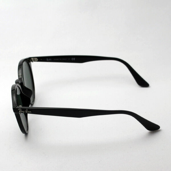 Ray-Ban ウェイファーラー型サングラス　RB2180F Ray-Ban レイバン サングラス rb2180f 51サイズ 601/71 ローブリッジ