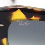 Ray-Ban Sunglasses Ray-Ban RB2186 133286 State Street