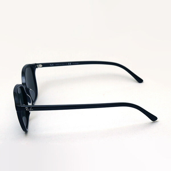 【美品】　Ray-Ban p  RB2193  Leonard 偏光　サングラス Ray-Ban RB2193 Leonard M (53 - 18) with Green lenses and