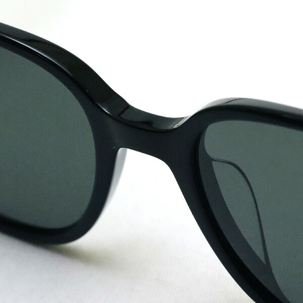 レイバン 偏光サングラス Ray-Ban RB2193F 90158 レオナルド