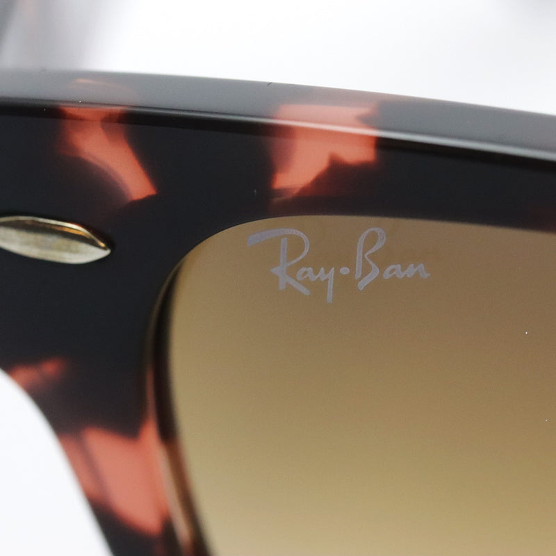 レイバン サングラス Ray-Ban RB2201 133451 ララミー – GLASSMANIA