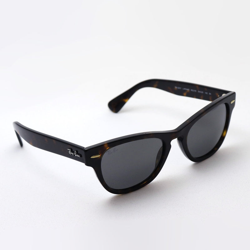 レイバン サングラス Ray-Ban RB2201 902B1 ララミー