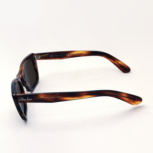 Gafas de sol polarizadas de Ray-Ban Ray-Ban RB2248 95457 Caribe