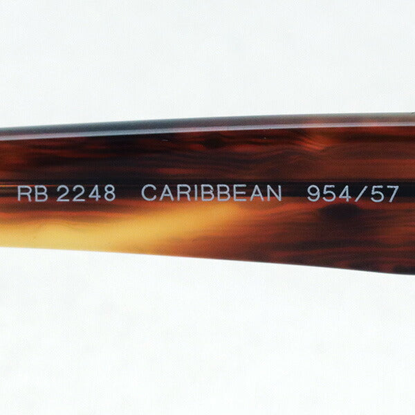 Gafas de sol polarizadas de Ray-Ban Ray-Ban RB2248 95457 Caribe