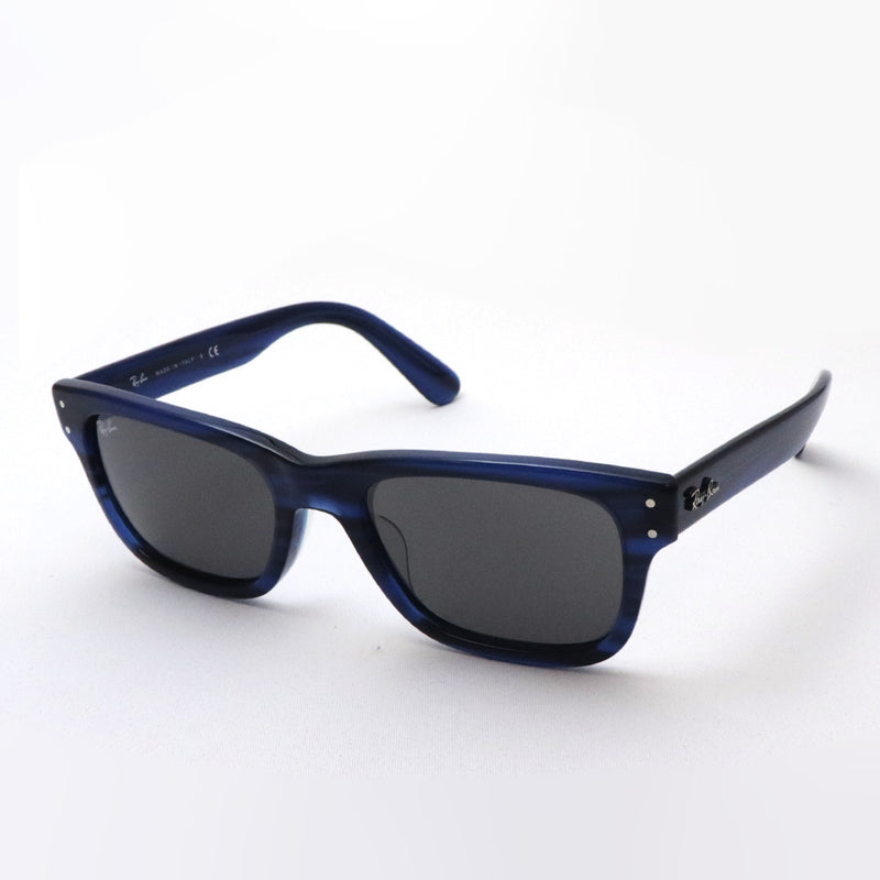 Ray-Ban太阳镜Ray-Ban RB2283F 1339B1 Bank先生