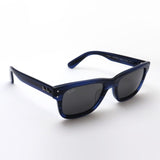 Ray-Ban太阳镜Ray-Ban RB2283F 1339B1 Bank先生