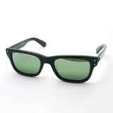 Ray-Ban偏光太阳镜Ray-Ban RB2283F 6659G4 Bank先生