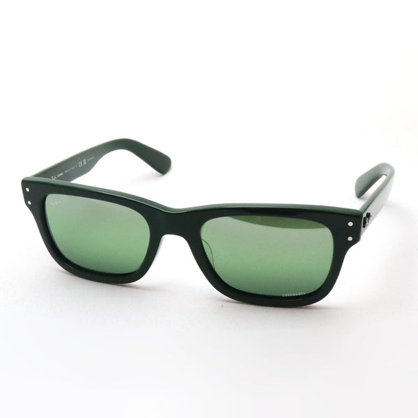 Ray-Ban Polarized Sunglasses Ray-Ban RB2283F 6659G4 Mr. Bank