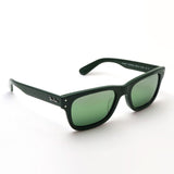 Gafas de sol polarizadas de Ray-Ban Ray-Ban RB2283F 6659G4 Sr. Bank