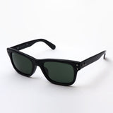 Ray-Ban Sunglasses Ray-Ban RB2283F 90131 Mr. Bank