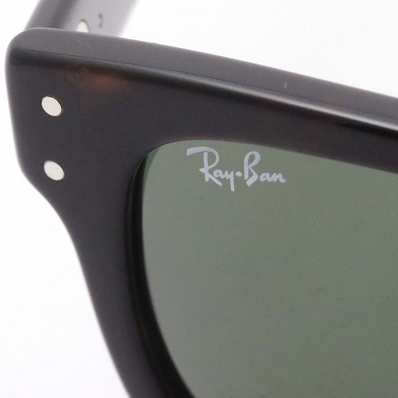 Ray-Ban太阳镜Ray-Ban RB2283F 90231 Bank先生