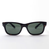 Ray-Ban太阳镜Ray-Ban RB2283F 90231 Bank先生