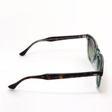 Ray-Ban太阳镜Ray-Ban RB2398F 1376BH Eagle Eye