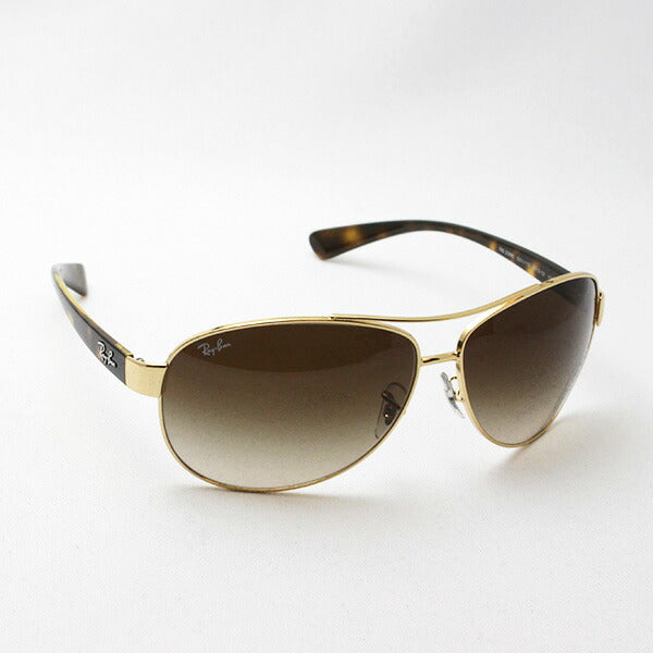 Brian O'Connor RB3386 001/13 サングラス RB3386 Sunglasses in Gunmetal and Brown Gradient - RB3386