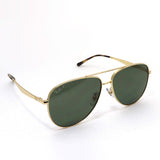 レイバン 偏光サングラス Ray-Ban RB3712D 0019A