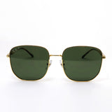 Gafas de sol polarizadas de Ray-Ban Ray-Ban RB3713D 0019A