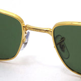 Gafas de sol polarizadas de Ray-Ban Ray-Ban RB3717 9196P1