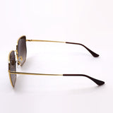 レイバン サングラス Ray-Ban RB3764D 00113