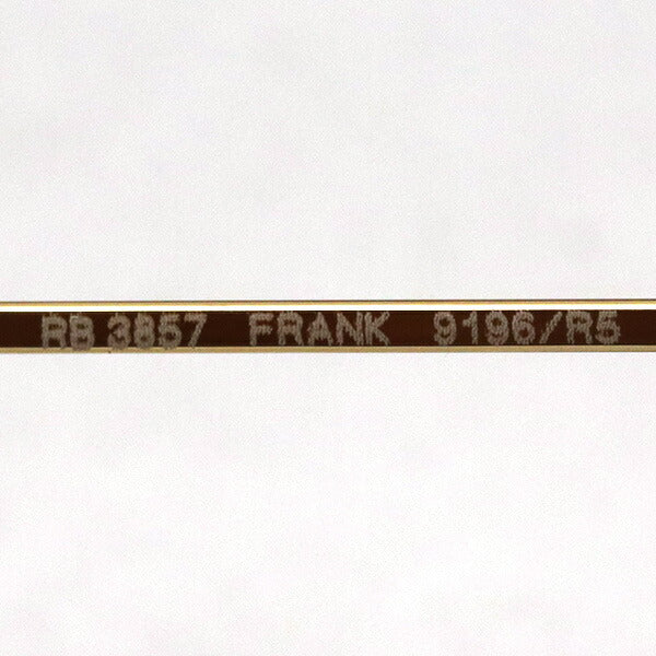 Gafas de sol Ray-Ban Ray-Ban RB3857 9196R5 Frank