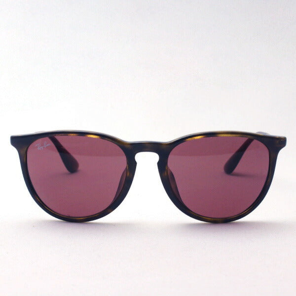 レイバン公式ストア】 Ray-Ban® ERIKA CLASSIC サングラス
