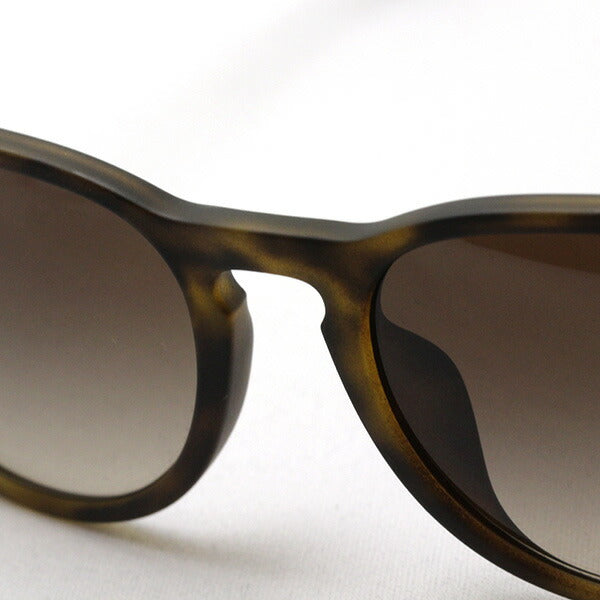 Ray-Ban Sunglasses Ray-Ban RB4171F 86513 Erica