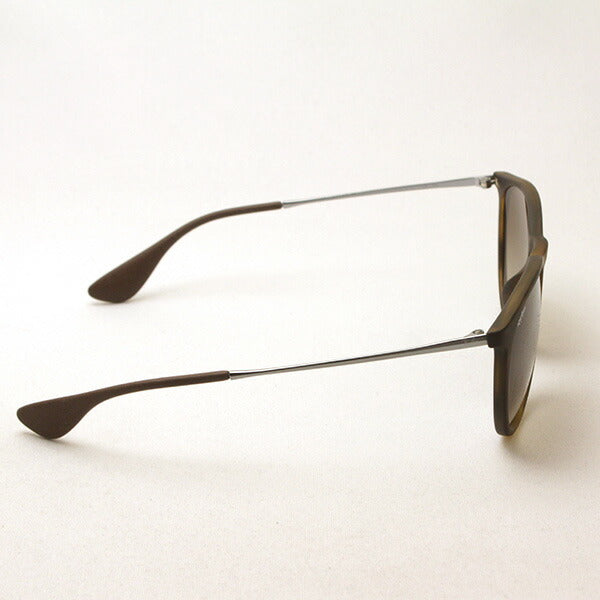 Ray-Ban Sunglasses Ray-Ban RB4171F 86513 Erica