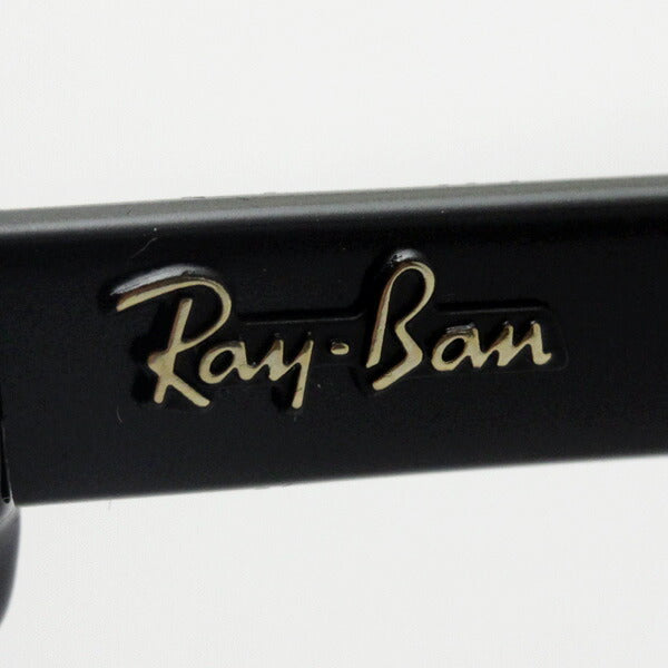 レイバン 偏光サングラス Ray-Ban RB4175 87776 オーバーサイズ