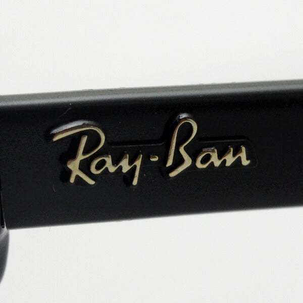 レイバン 偏光サングラス Ray-Ban RB4175 87776 オーバーサイズド クラブマスター