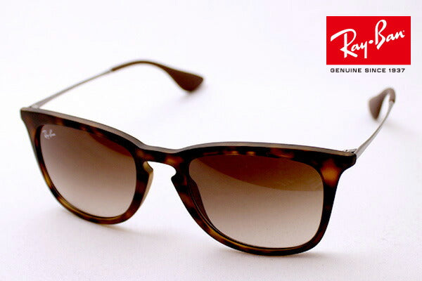 Gafas de sol Ray-Ban Ray-Ban RB4221F 86513