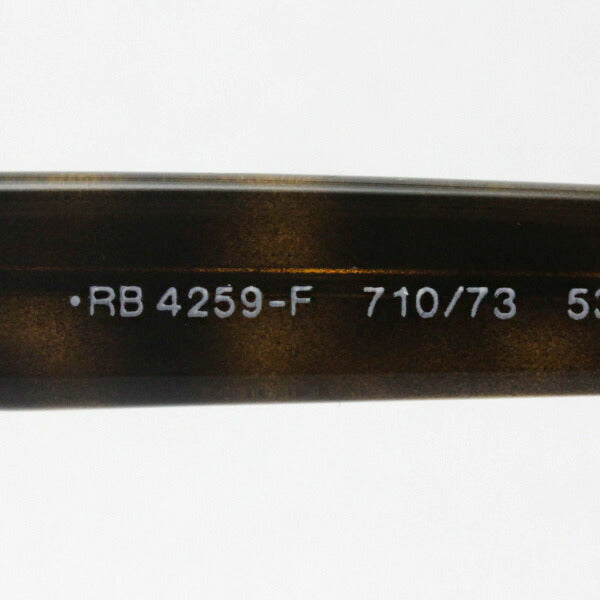 Gafas de sol Ray-Ban Ray-Ban RB4259F 71073