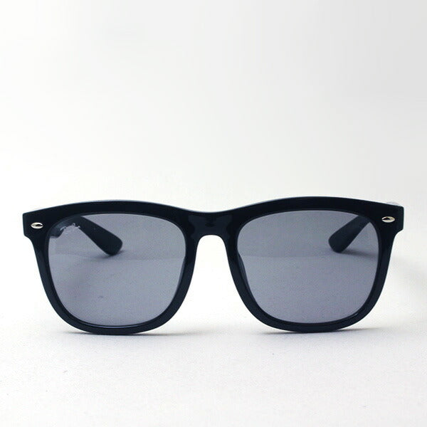 レイバン サングラス Ray-Ban RB4260D 6011 – GLASSMANIA -TOKYO