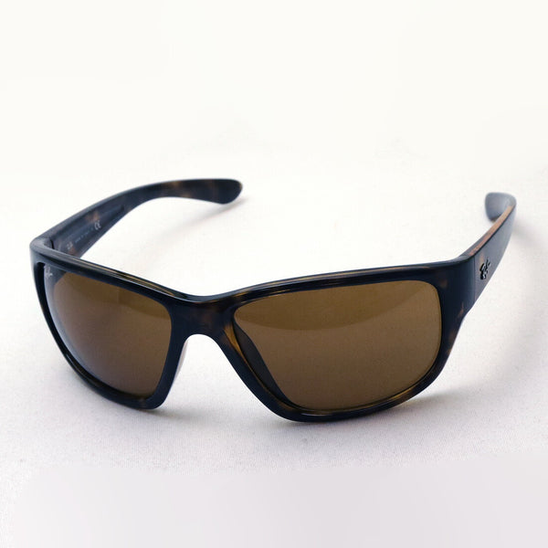 Ray-Ban太阳镜Ray-Ban RB4300 71033