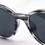 レイバン サングラス Ray-Ban RB4305F 643087