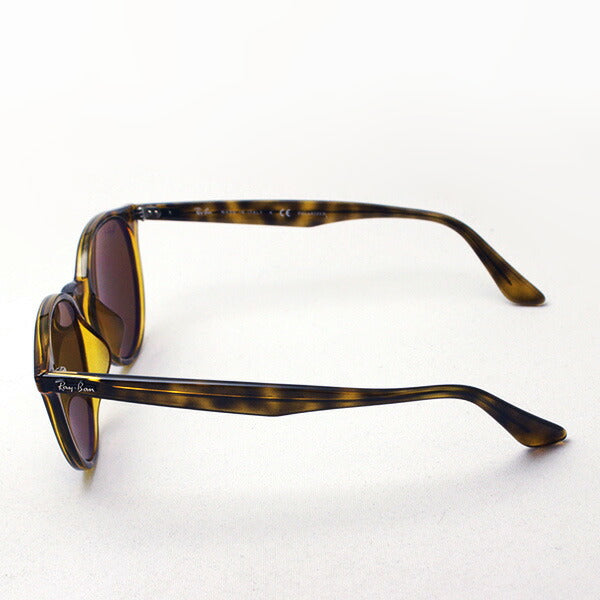 レイバン 偏光サングラス Ray-Ban RB4305F 71083 – GLASSMANIA