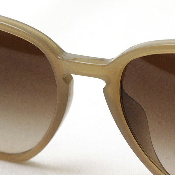 レイバン サングラス Ray-Ban RB4306F 616613 – GLASSMANIA