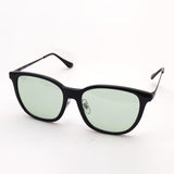 Ray-Ban太阳镜Ray-Ban RB433D 6012