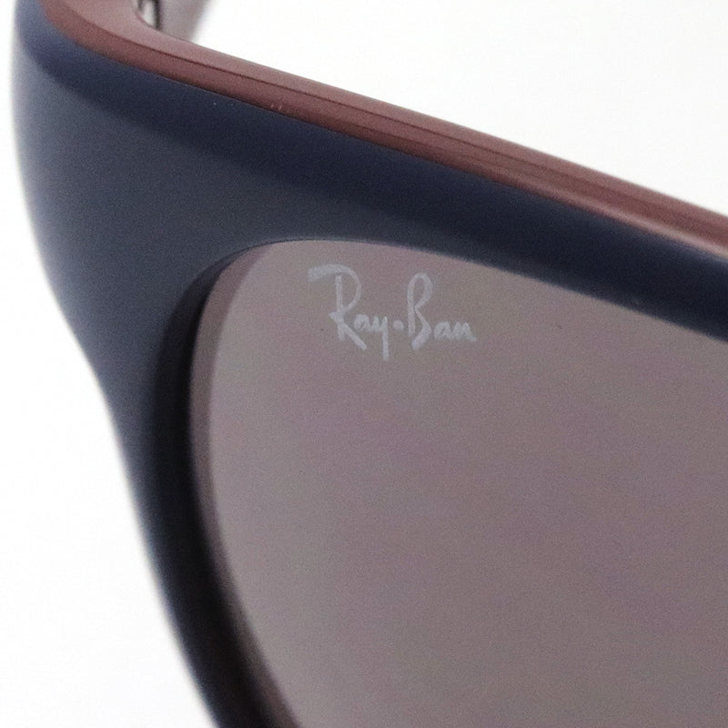 Gafas de sol Ray-Ban Ray-Ban RB4351 65697N