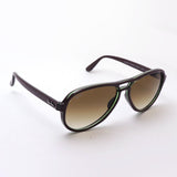 Ray-Ban太阳镜Ray-Ban RB4355 660451